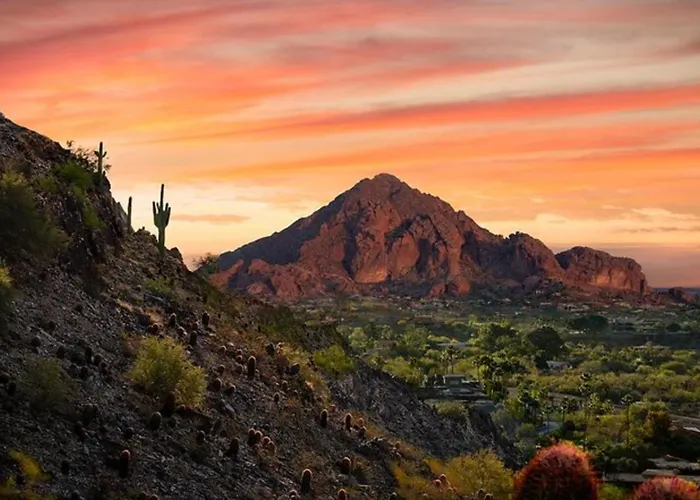 Winedown Phoenix